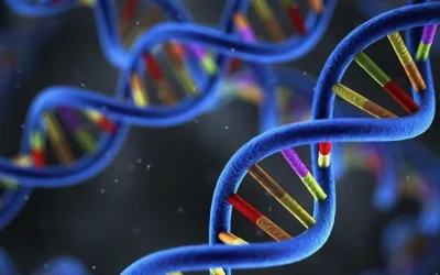 周围神经示意图：连接大脑与手脚的“电线”