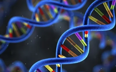 护士为新生儿采集足跟血进行传统筛查