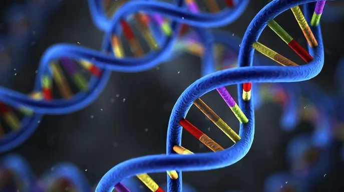 护士为新生儿采集足跟血进行传统筛查