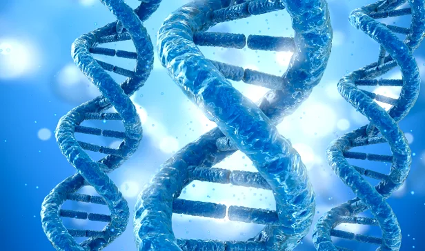 形象化的DNA双螺旋结构,其中一段高亮标红