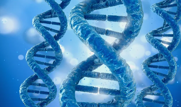 家族遗传树与心脏标志结合示意图