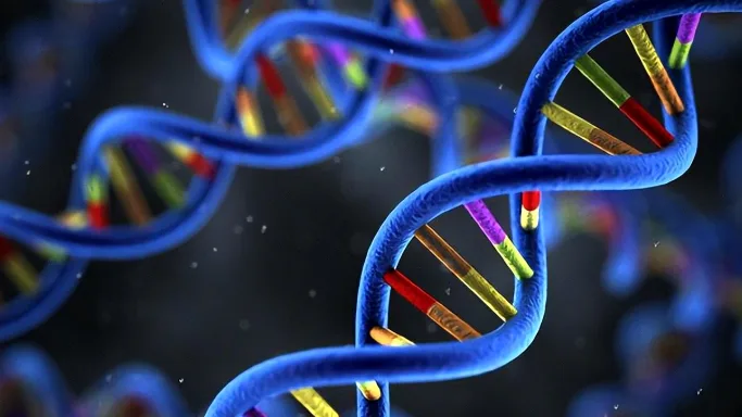 医生与患者讨论基因检测报告