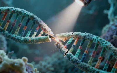 医生与家长沟通孩子发育情况的诊室场景