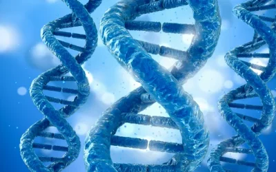 指甲-髌骨综合征患者典型的拇指指甲凹陷示意图