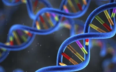 白化病患者眼部特征示意图