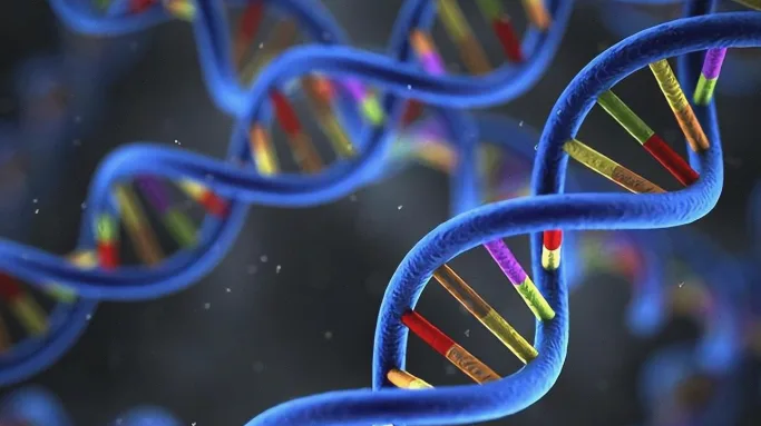 白化病患者眼部特征示意图