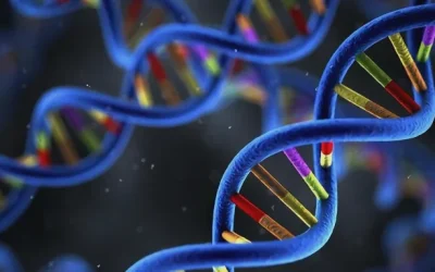 歌舞伎面谱综合征患儿典型面部特征示意图