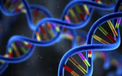 德朗热综合征患儿特征性面容示意图