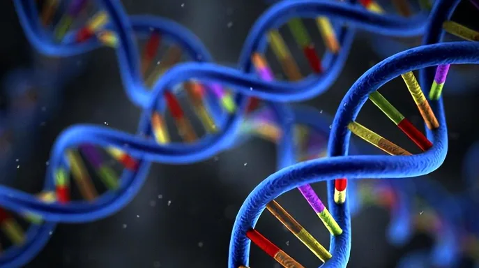 德朗热综合征患儿特征性面容示意图