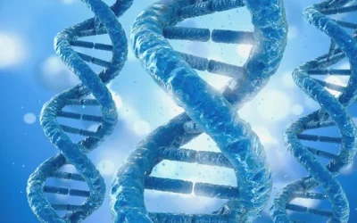 囊性纤维化影响肺部示意图，黏液堵塞气道