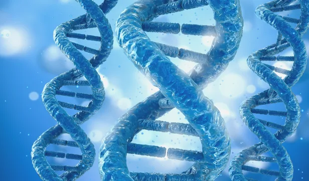 囊性纤维化影响肺部示意图，黏液堵塞气道