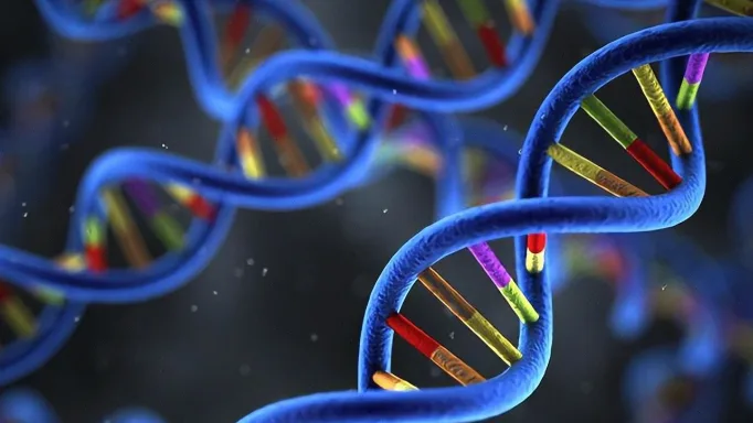 心脏超声显示肥厚的心肌示意图