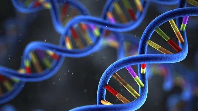 主动脉瘤与正常主动脉对比示意图