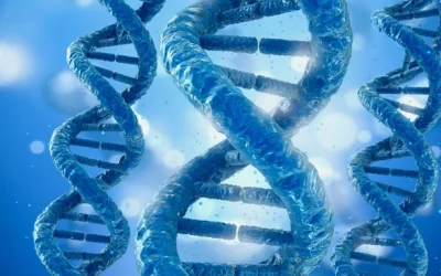 锁骨颅骨发育不全患儿典型窄肩与面部特征示意图