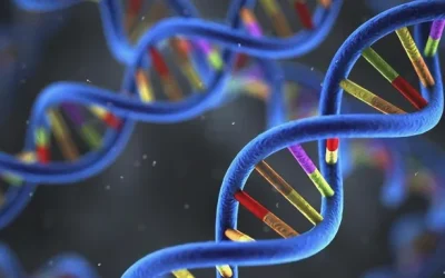 正常视野与管状视野对比示意图