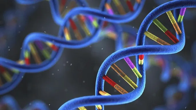 正常视野与管状视野对比示意图