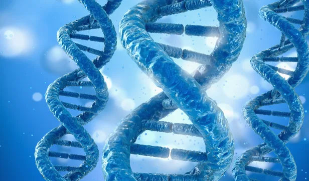 不同基因组合下的遗传风险对比图表