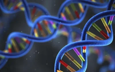 常染色体显性遗传模式示意图