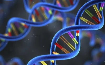 CMT常见分型与对应神经损伤示意图