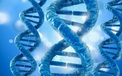 努南综合征与LEOPARD综合征典型面容对比示意图