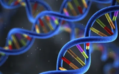 各类高蛋白食物与低蛋白替代品对比图