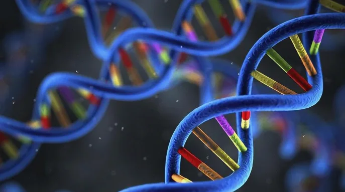 各类高蛋白食物与低蛋白替代品对比图