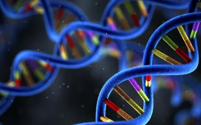 HRD阳性示意图：细胞DNA修复系统失灵