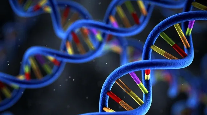 HRD阳性示意图：细胞DNA修复系统失灵