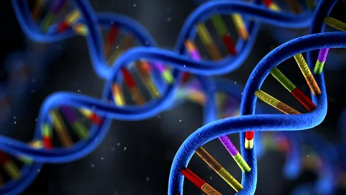 导致HRD阳性的主要基因关系网络图