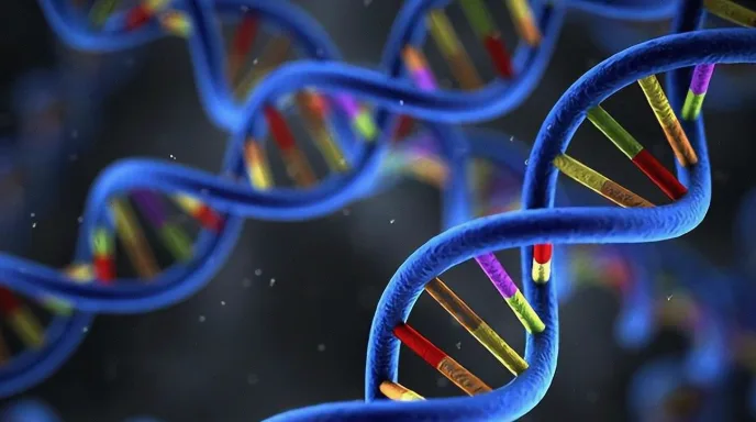 实验室技术人员正在进行基因测序操作
