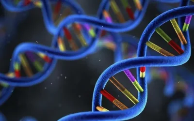 KRAS G12C突变蛋白与靶向药物结合示意图