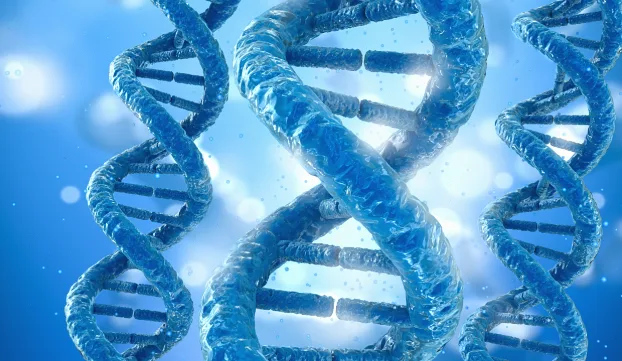 高通量测序仪内部密密麻麻的芯片与流道特写