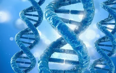 MET基因信号通路正常与异常对比示意图