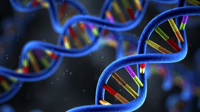 靶向治疗耐药过程示意图，标注MET通路激活