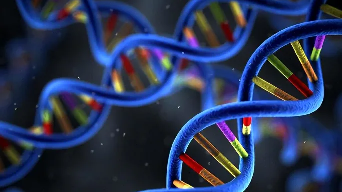 医生与患者拿着报告讨论检测方案的示意图