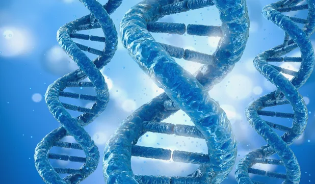 医生与患者家属沟通治疗方案的场景