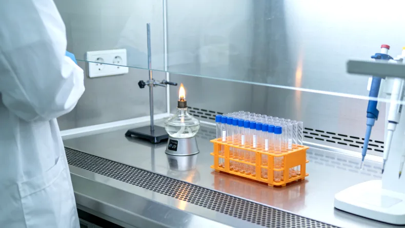 HER2基因扩增与突变模式对比示意图