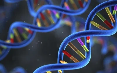 医生正在为儿童采集咽拭子样本