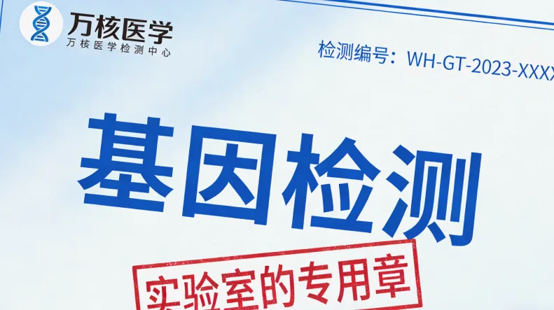 五年生存率曲线图，突出五年时间点