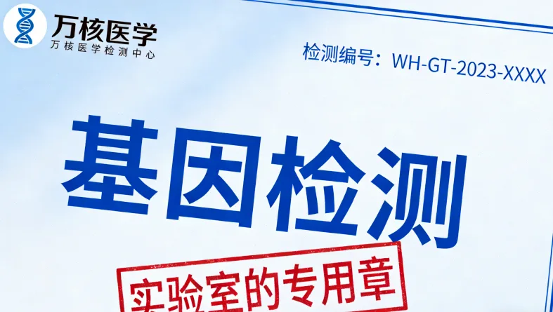 基因检测报告局部特写，箭头指向“等位基因频率”数值