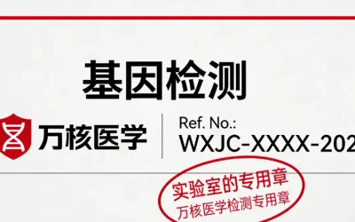 一位患者和医生共同观看基因检测报告的场景