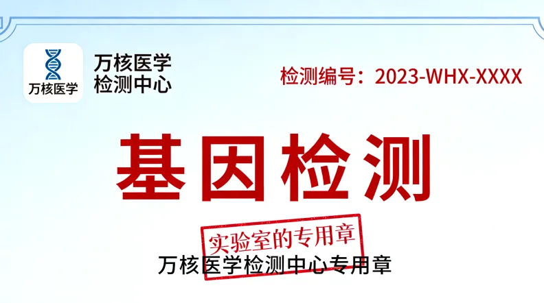 肺癌术后病理分期（TNM）简易图解