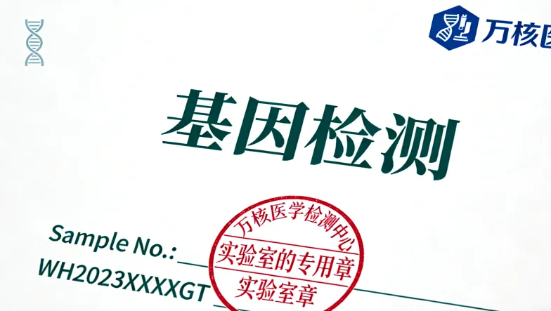 医生在B超引导下进行乳腺穿刺活检的操作场景