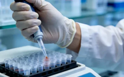 糖尿病影响伤口愈合的机制示意图