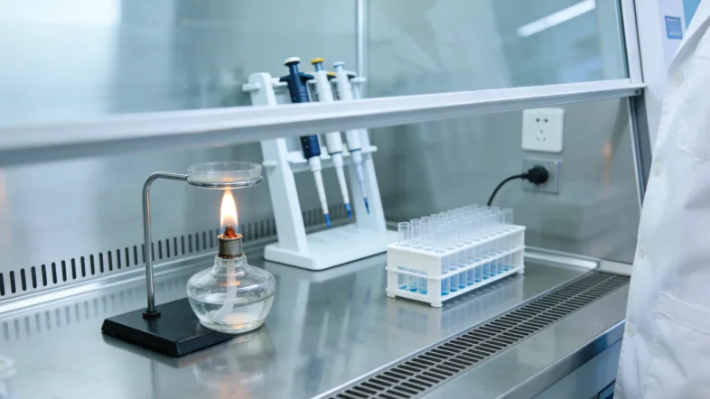 雌激素与受体结合示意图