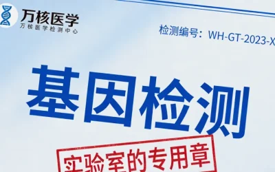 早期与晚期乳腺癌治疗路径对比示意图