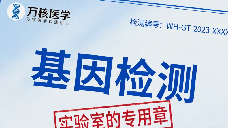 早期与晚期乳腺癌治疗路径对比示意图