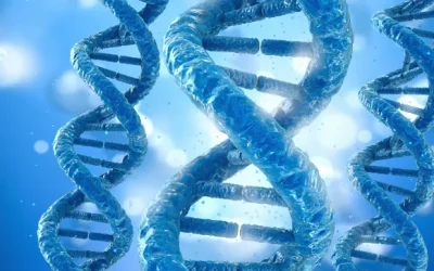 老年人肺部感染常见病原体示意图