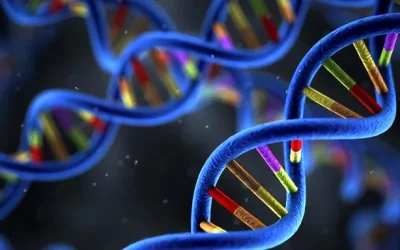 医生与家长沟通孩子病情的场景