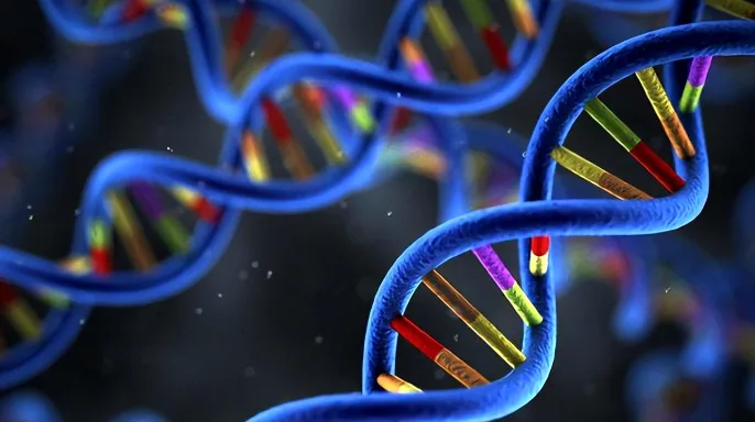 医生与家长沟通孩子病情的场景